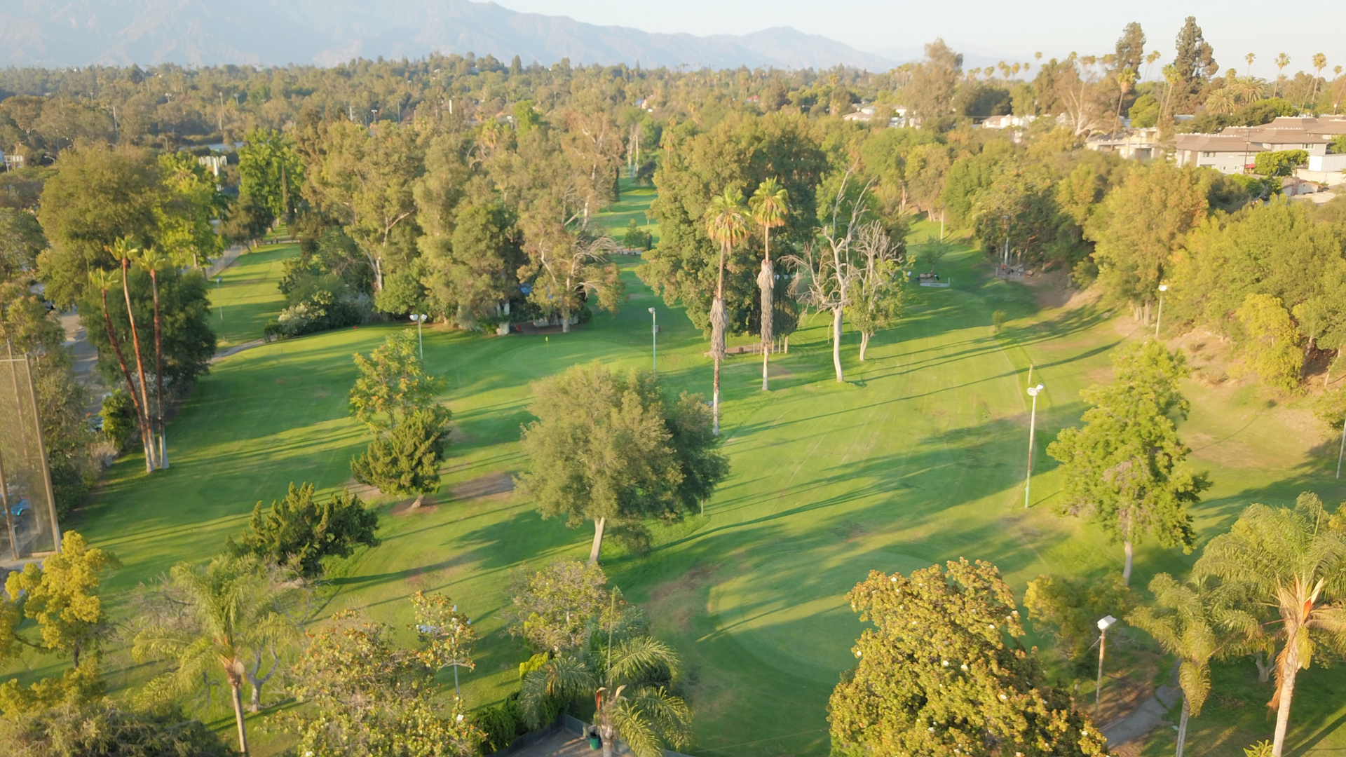 Image of golf ball on tee on grass.